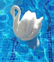 Imagem de capa de Clorador Flutuante P/ Cloro Past Cisne Genco   *7896544400467